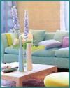 Interiors Unlimited